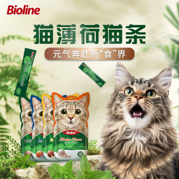 Bioline Catnip Cat Sticks